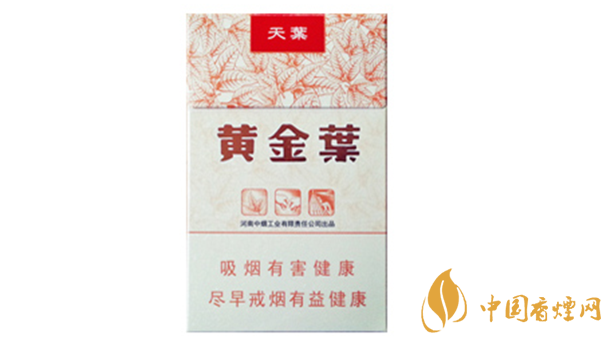 黃金葉天葉真偽怎么辨別?天葉真假如何看?