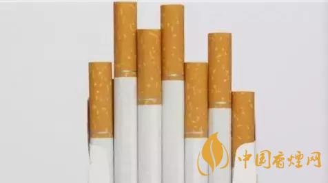 香煙和雪茄哪個(gè)好抽？香煙和雪茄八大區(qū)別介紹2020