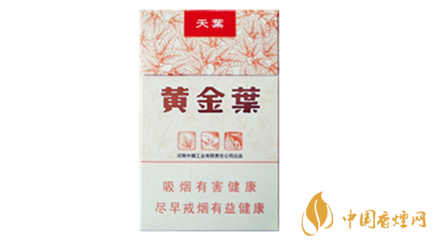 黃金葉天葉真假怎樣區(qū)分?黃金葉天葉真假識(shí)別