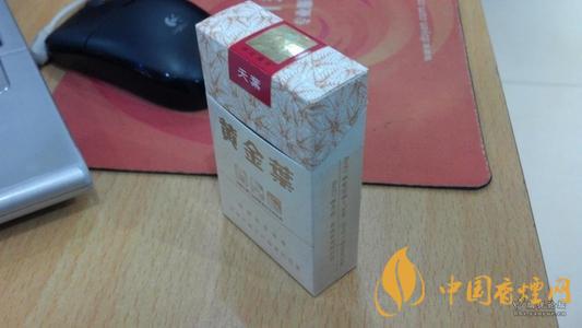 黃金葉天葉與小天葉的區別是什么