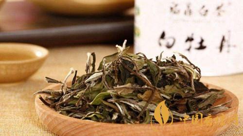 福鼎大白茶和小白茶有區別嗎 大白茶和小白茶的區別分析