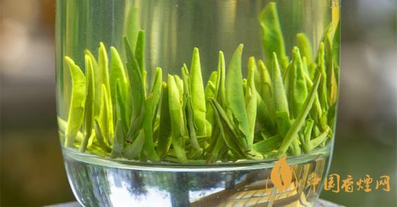 雀舌茶葉價(jià)格和圖片一覽 雀舌茶葉多少錢一包