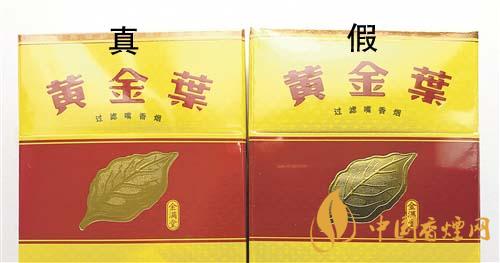 黃金葉金滿堂真假區分 2021黃金葉金滿堂區分方法