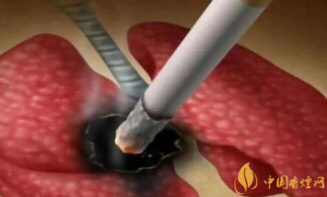 香煙對身體的危害究竟有多大 人體一天最多承受五口香煙的危害