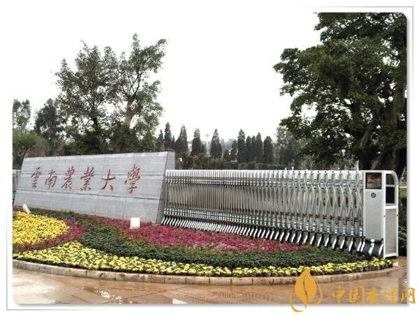 煙草專(zhuān)業(yè)大學(xué)排名,煙草專(zhuān)業(yè)就業(yè)前景好