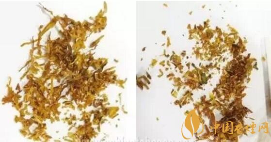 冬蟲夏草（和潤(rùn)）真假鑒別，春節(jié)防止被騙