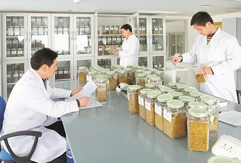 卷煙的成分有哪些 四大卷煙葉組配方的重要意義