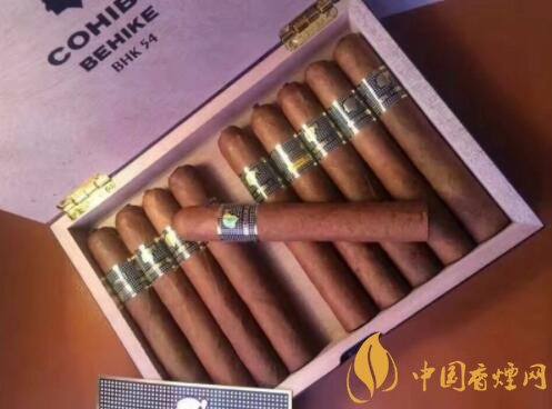 古巴高希霸Cohiba Behike BHK 54雪茄口感測評