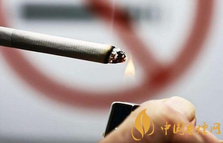 國家禁止吸煙卻不禁止生產香煙 原因有這幾點