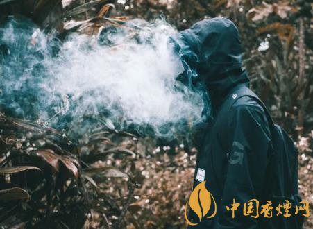 未成年人吸煙有什么危害 青少年吸煙對身體的危害介紹！