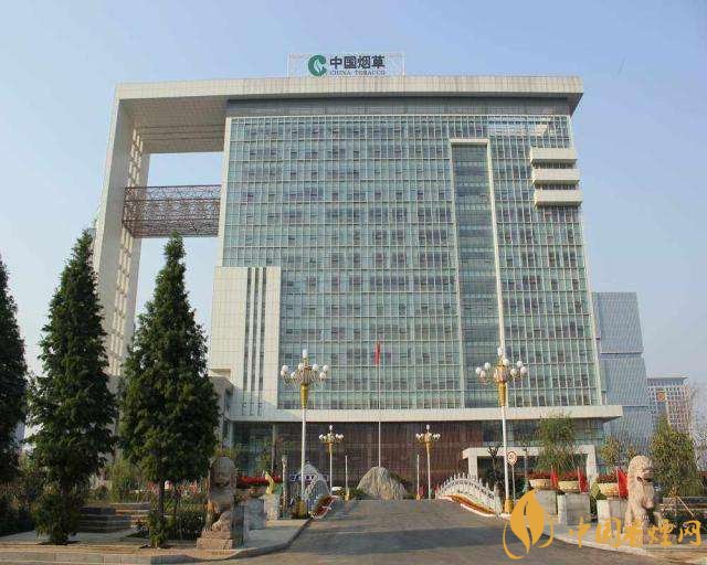 3.5億煙民1年為國家貢獻1.2億!專家:卷煙太便宜,要漲價