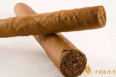 多角度分析雪茄與香煙的區別