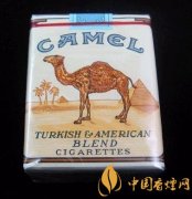 無嘴駱駝（美國免稅）最新價(jià)格介紹及口感評(píng)測