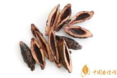 吃檳榔會為什么會上癮 檳榔的危害比煙小嗎